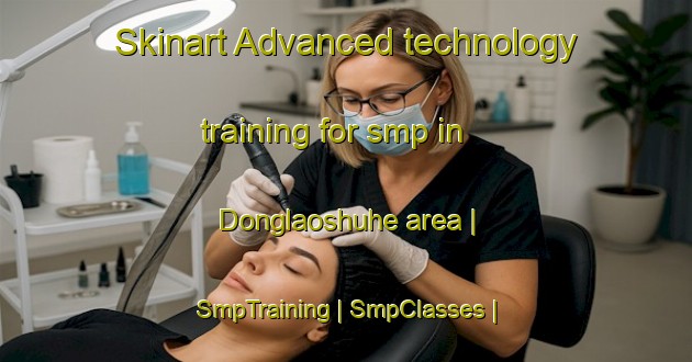 Skinart Advanced technology training for smp in Donglaoshuhe area | SmpTraining | SmpClasses | SkinartTraining-China